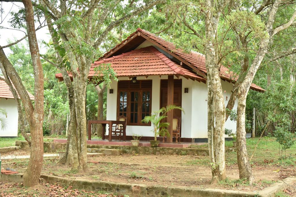 King'S Elephant Cabanas & Restaurant Tangalle Kültér fotó